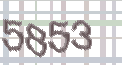 CAPTCHA-Bild zum Spam-Schutz 